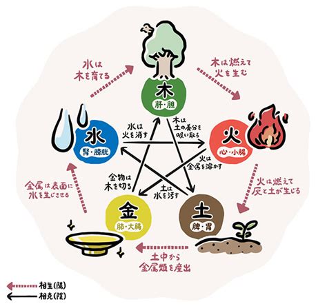 風 五行|五行思想「木」で考察する、風神雷神がいつも一緒にいる理由